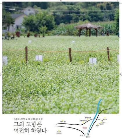 이효석과 봉평 메밀꽃밭